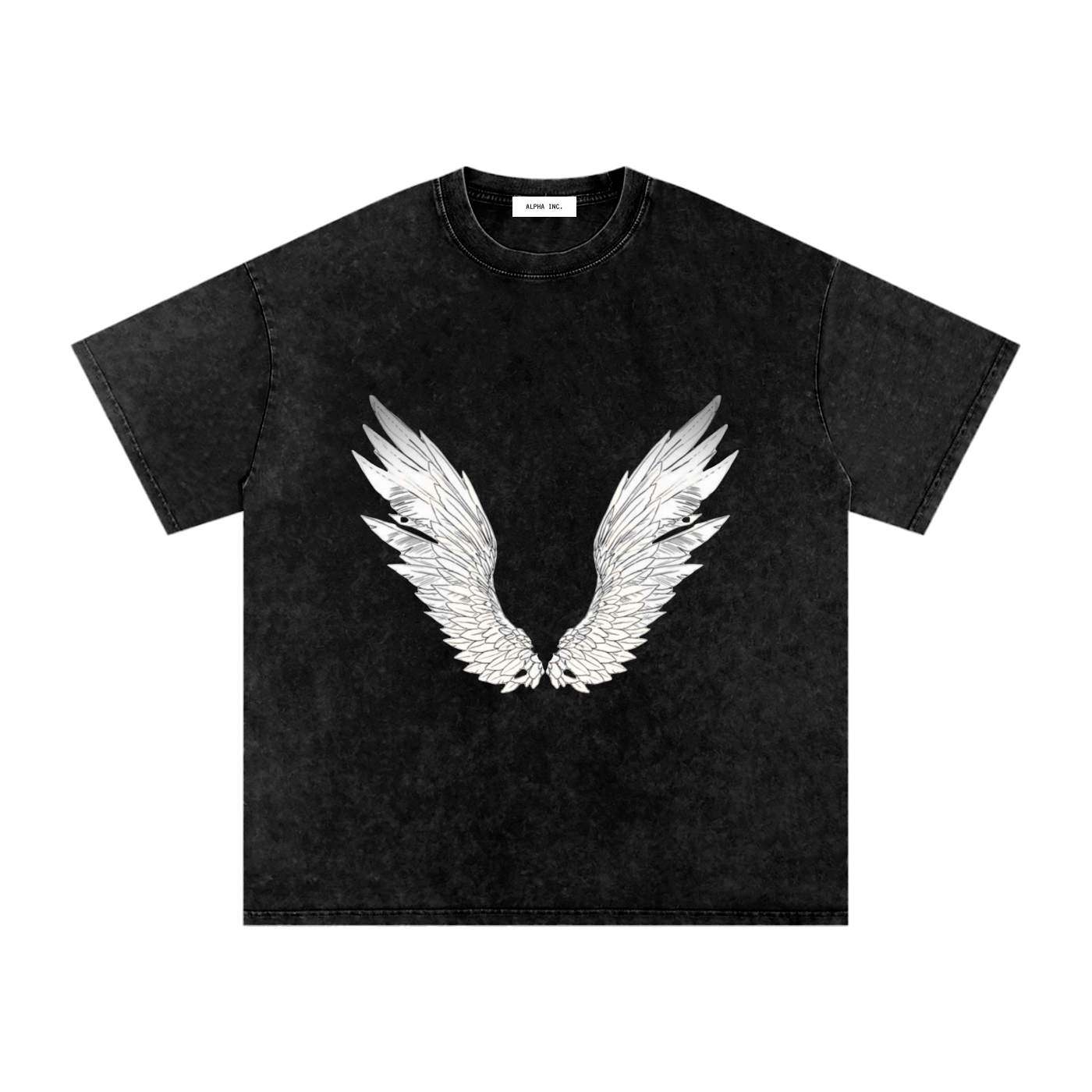 ALPHA Snow Washed Oversized Cotton T-Shirt