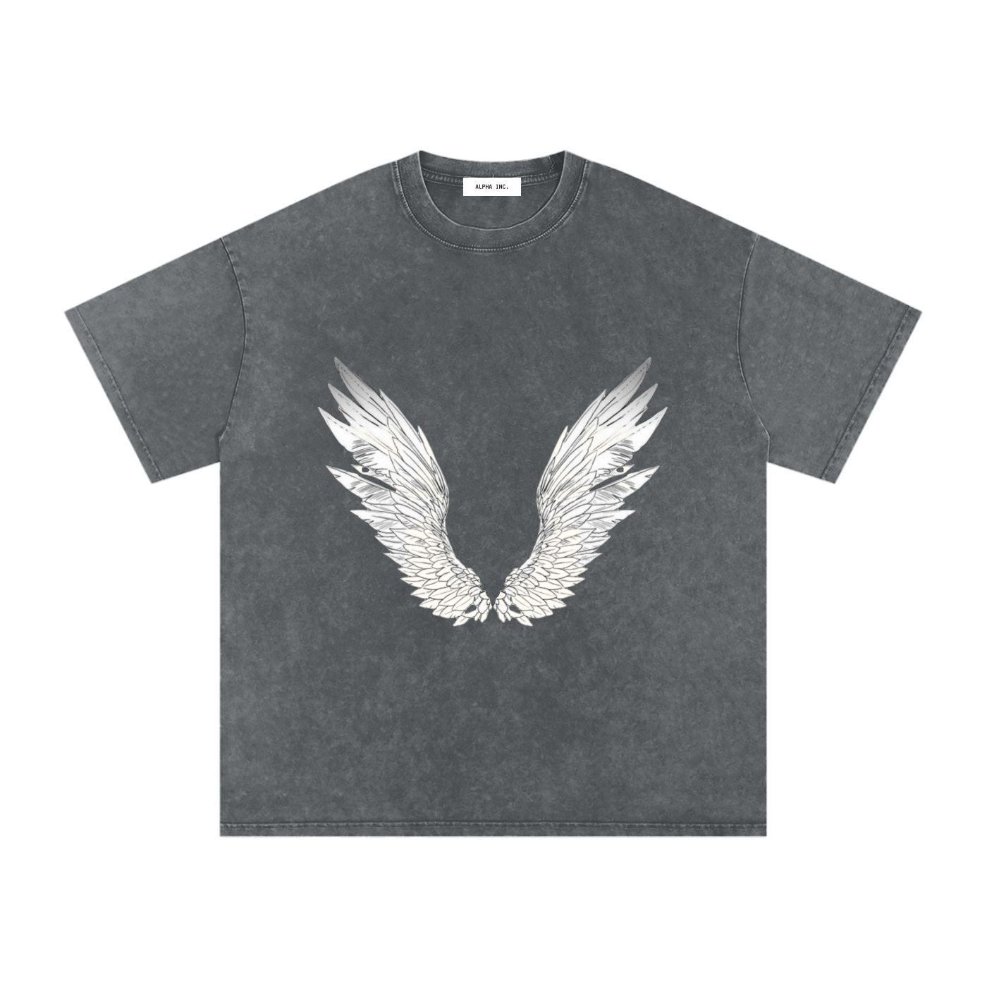 ALPHA Snow Washed Oversized Cotton T-Shirt